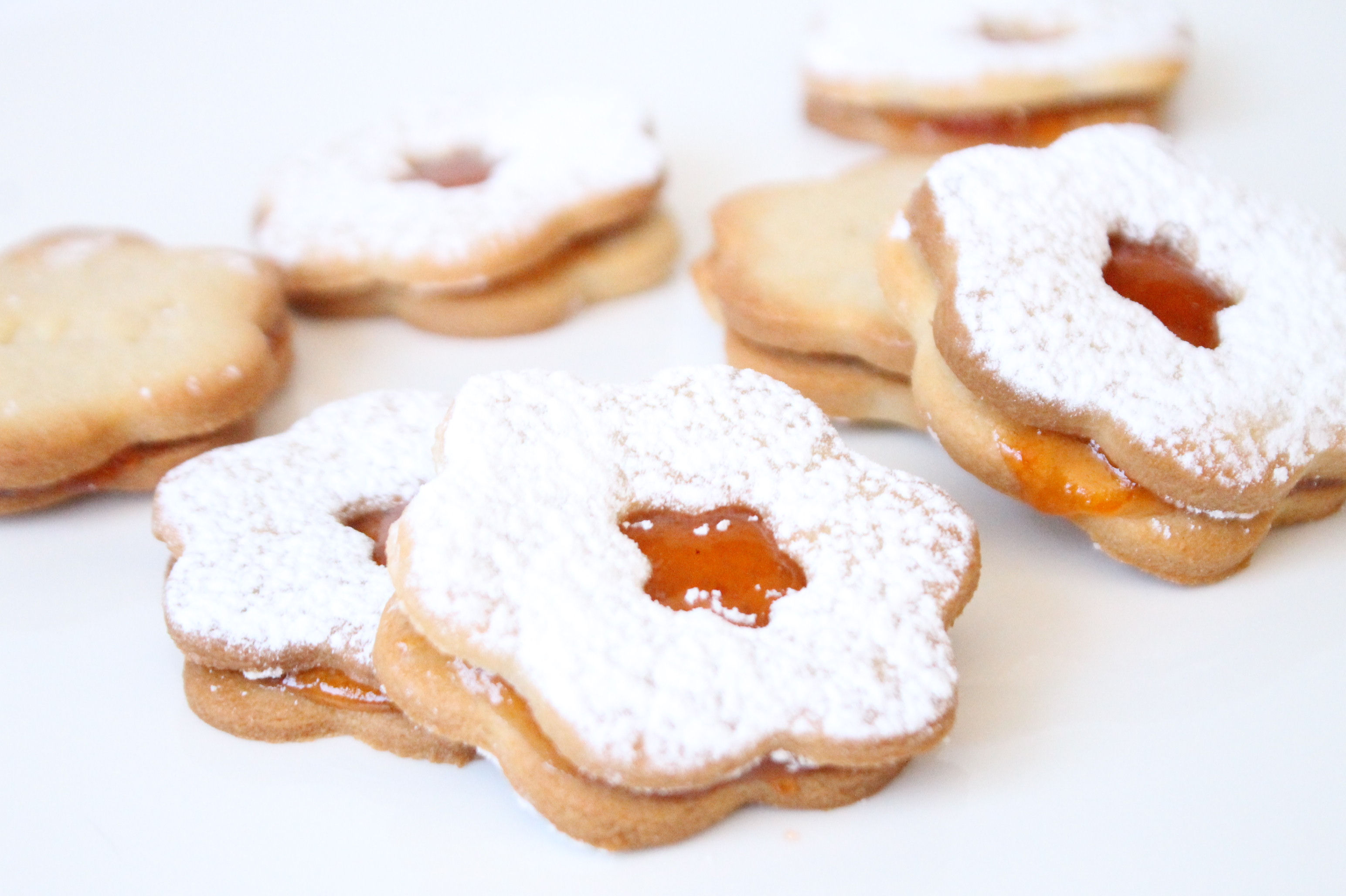 Galleta Chabacano 10 pz.