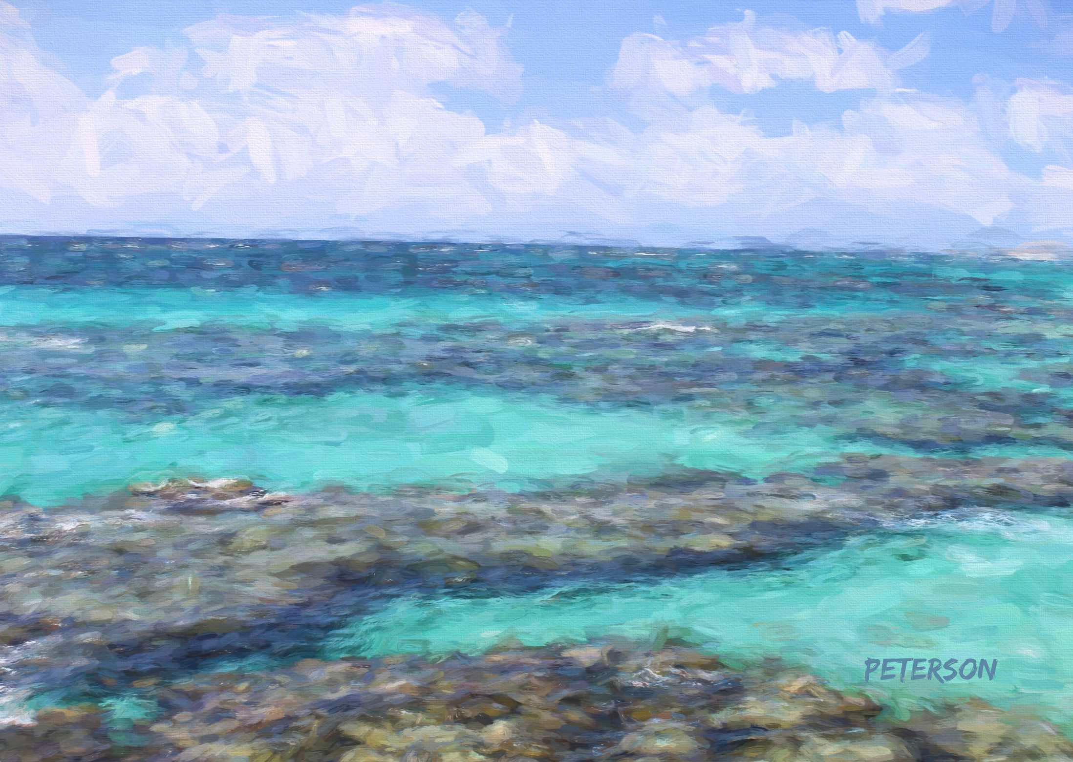 "ELBOW CAY REEF'