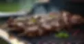 all beef kebabs on a BBQ(1).jpg