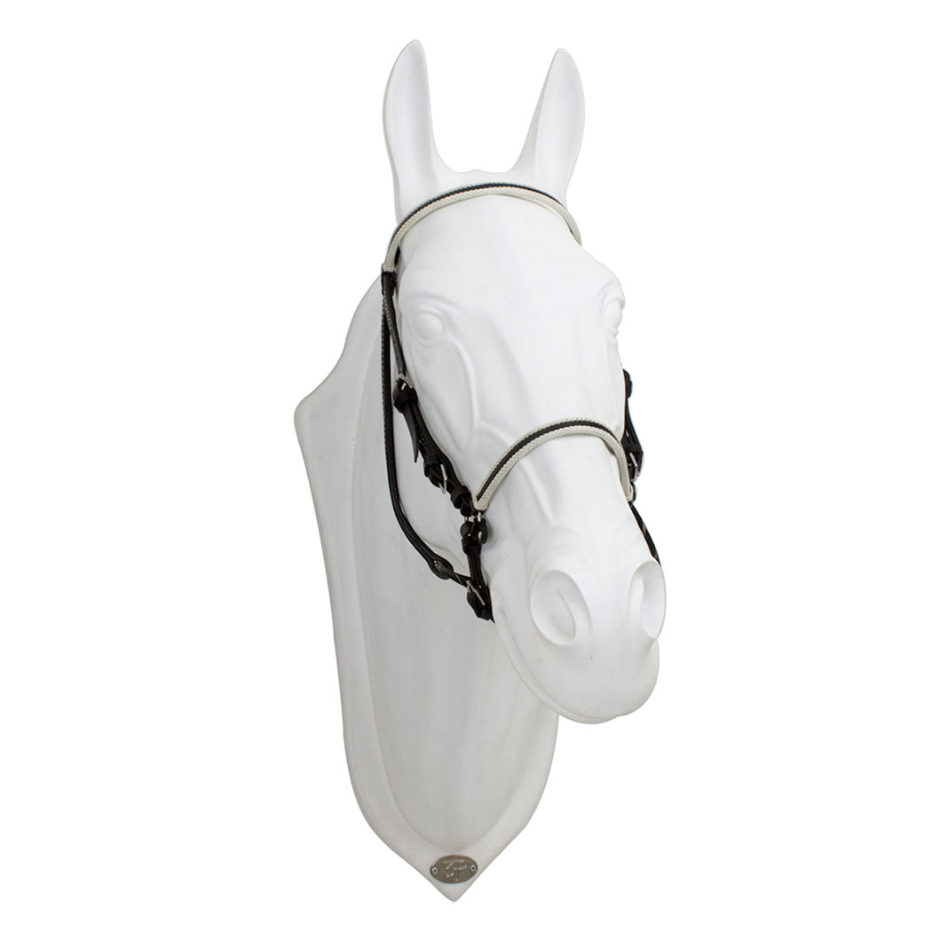 Apero de Cabeza Lomillado