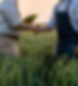 two-farmers-making-agreement-with-handshake-green-wheat-field-agricultural-business_edited