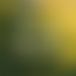 'Het zelfherstellend vermogen van je lijf'