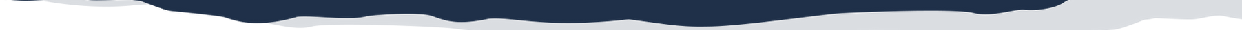 dividor.png