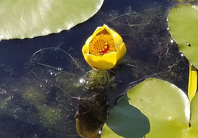 20180626_172101.jpg