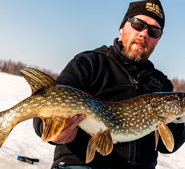 Guided pike tip-up fishing North Karelia, Finland