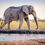 Thumbnail: South African Safari and Cape Town 15 Days