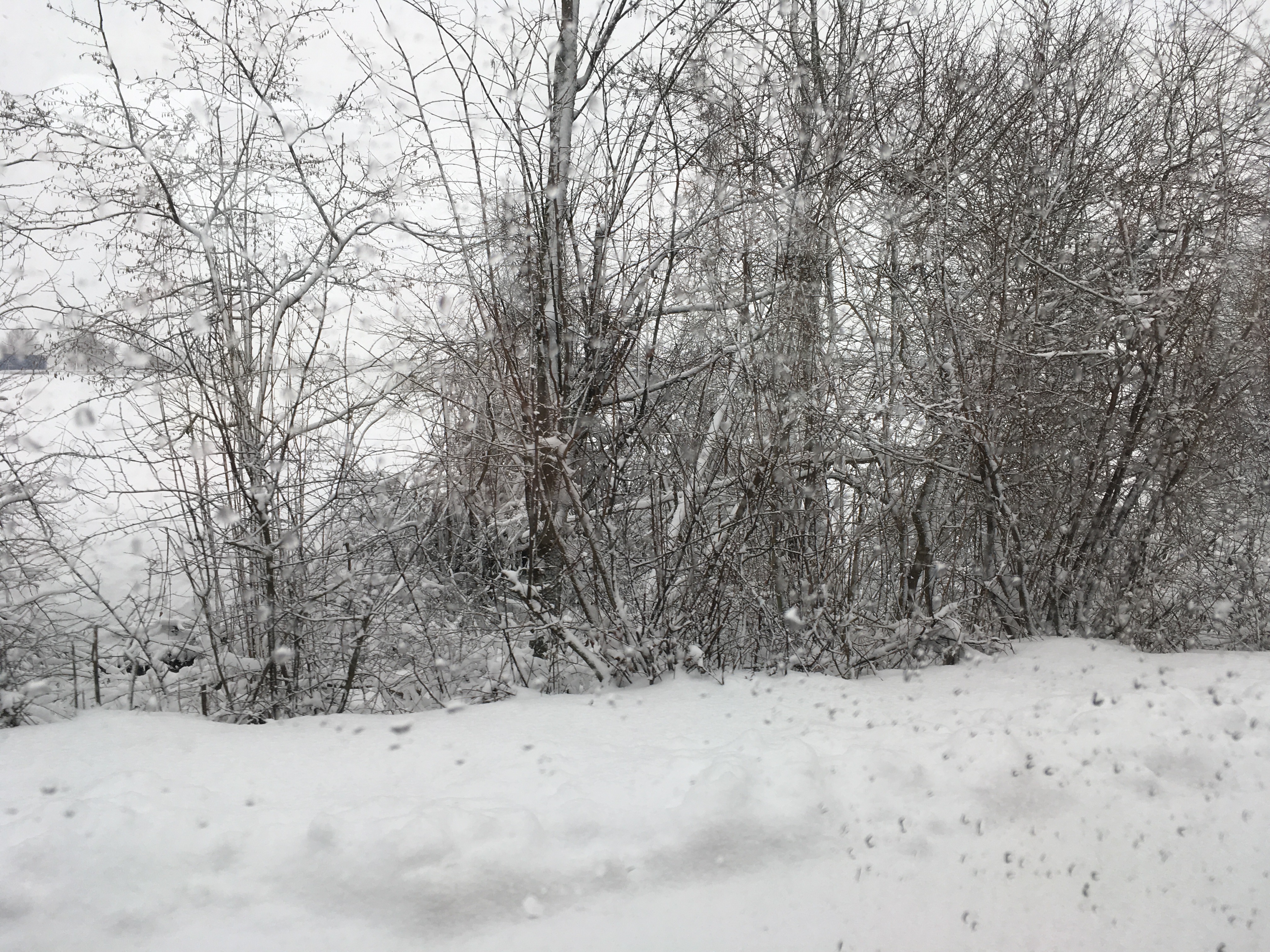 Winter Journey Munich 2019