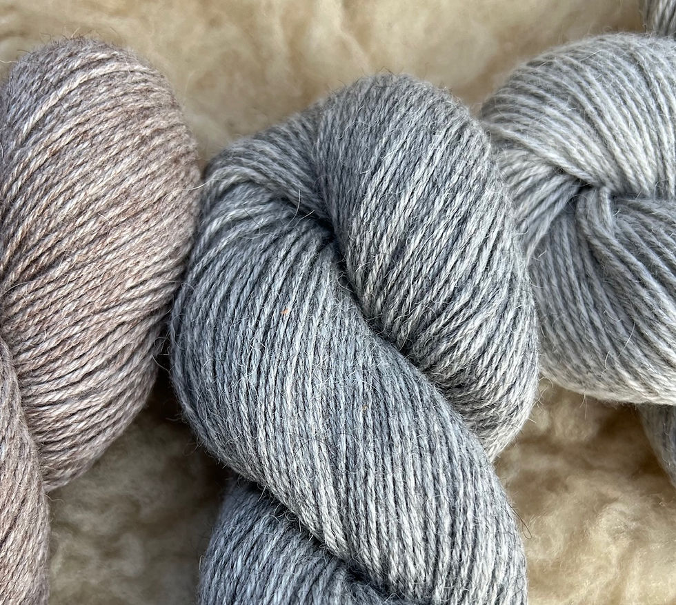 Miniaturbild: Big Fritz Pullover von Isabell Kraemer als Wollpaket mit Duna