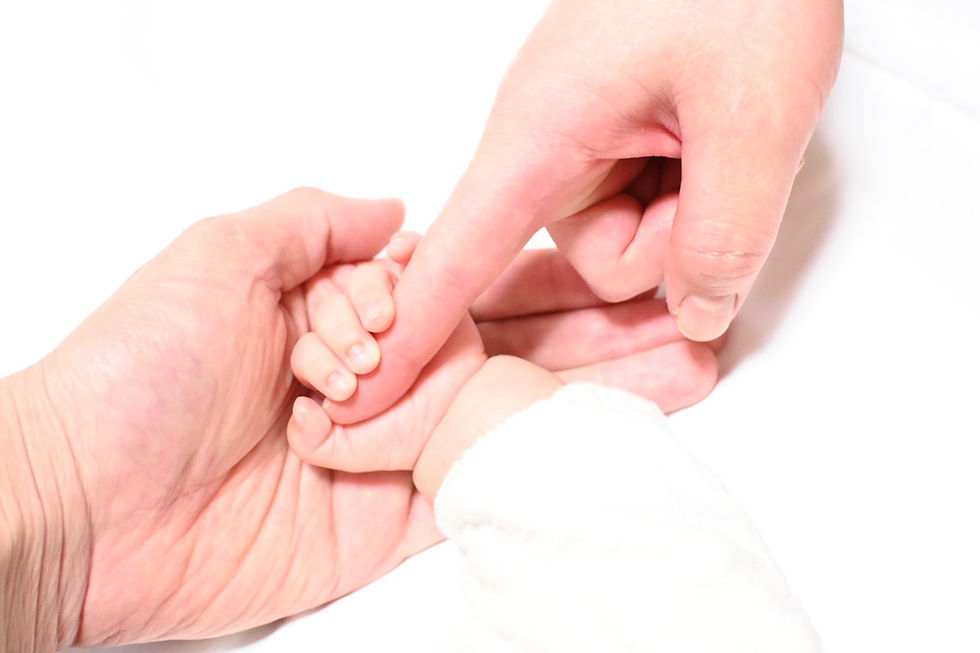 子と親が手をつなぎあう