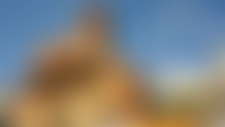 Santa María de Maluenda (Zaragoza).