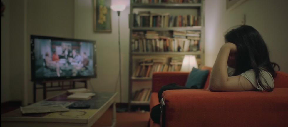 tv, lamps, newspapers, journals, paintings, books