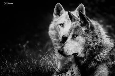 photo tirage d'art auxerre montbard seb guyomard photographie