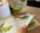Esta Iguana Malhumorada / Libro