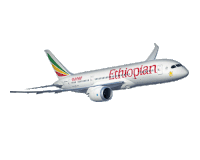 airlines-travel.gif