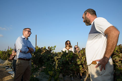 UK Ambassador_Experimental Vineyard_Prof. Naftali Lazarovitch.jpg