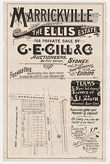 1902 (c.) Marrickville, The Ellis Estate