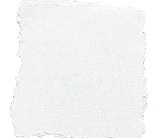 paperscrap_edited_edited.png