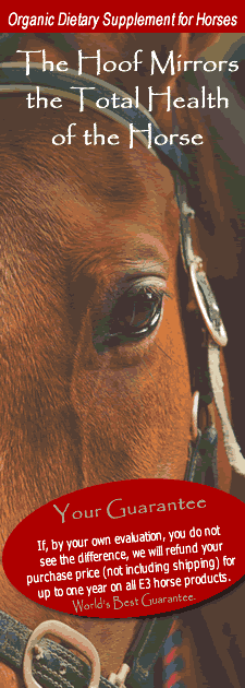 Leftbackground225.gif