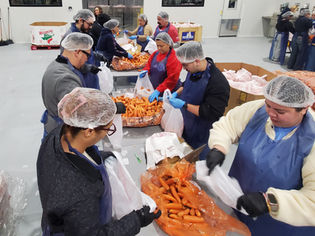 United Way Supports Local Nonprofits on MLK JR Day through Volunteerism