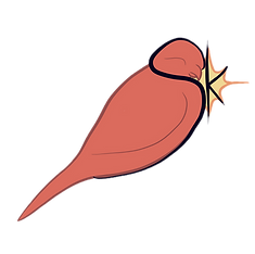 Brand logo, a pink sillhoutted kestrel with a small yellow star near the beak