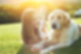 A young girl laying on a beautiful lawn next to a golden retriever. They are highlighted by sunlight.