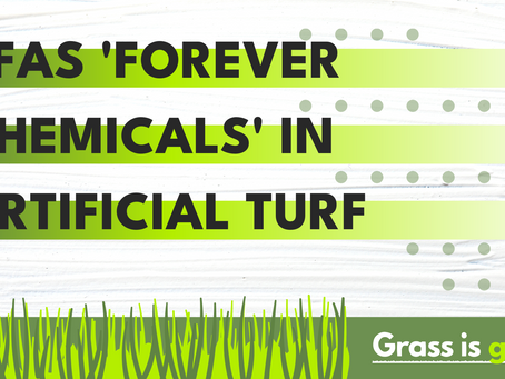 The Dangers of Toxic PFAS in Artificial Turfgrass