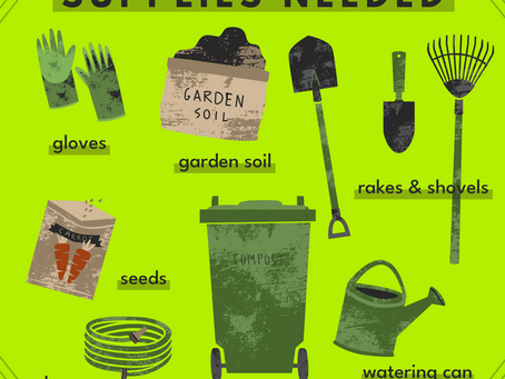 9 Gardening Tips to Prepare your Garden Beds for Planting