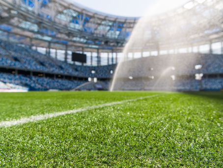 The Cons of Artificial Turf