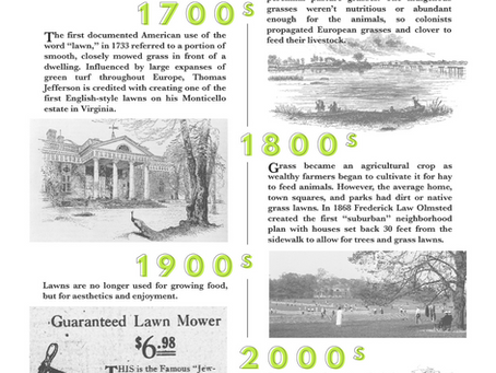 History of Lawns in America: A Timeline from 1600s to Present Day