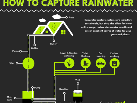 How to Create and Use a Rainwater Capturing System for Your Home