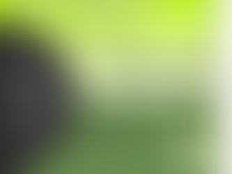 Lawn Overwatering