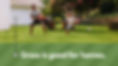 Grass is good for homes text at the bottom of image. Image shows Dad having a squirt gun fight with his son in their yard.