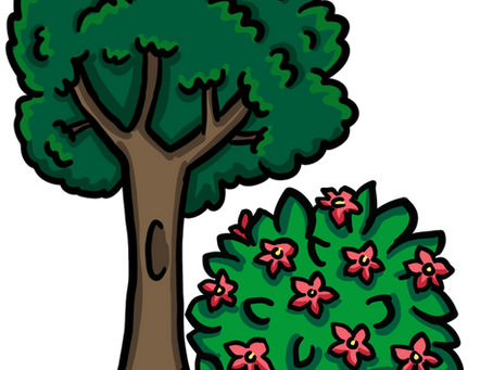 Win the War on Weeds - And Protect Your Plants