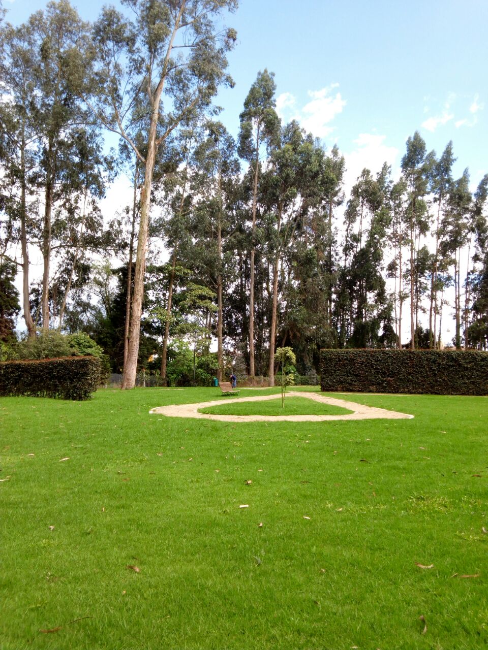 Senderos Peatonales