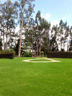 Senderos Peatonales