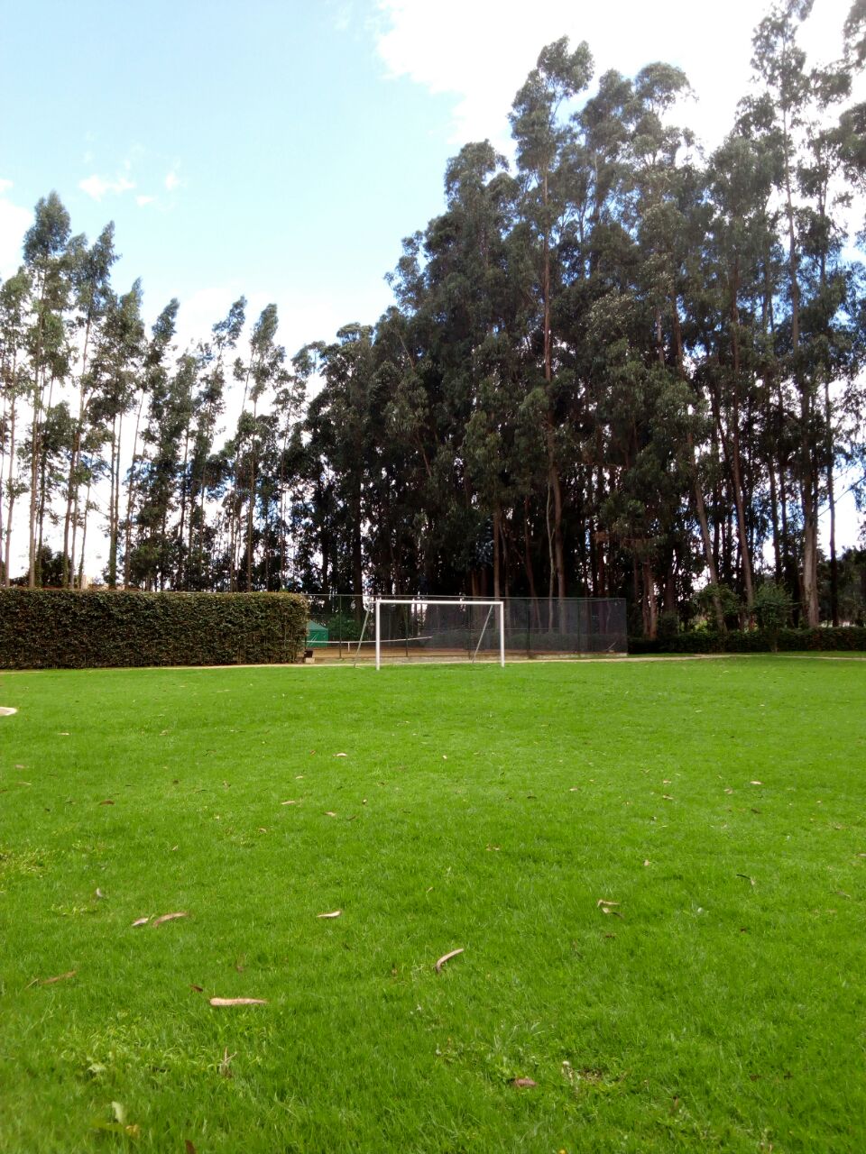 Cancha de Fútbol