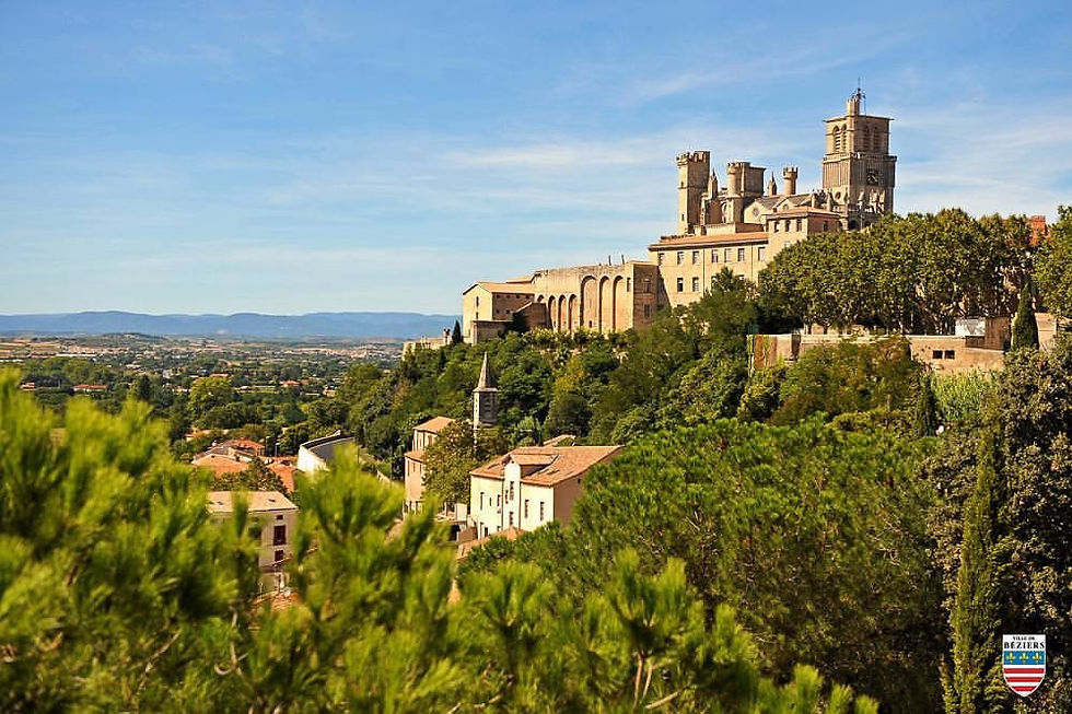 Miniature : Guillaume Aurèle Merlot