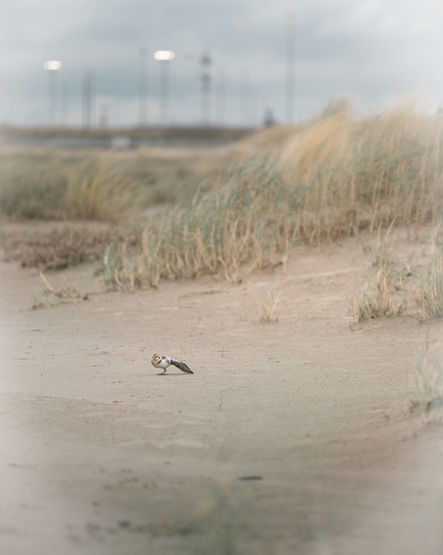 BEN05827-Enhanced-NR-2