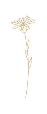 6a2bb618-ffb1-4813-867d-cc8c18e8686c.png