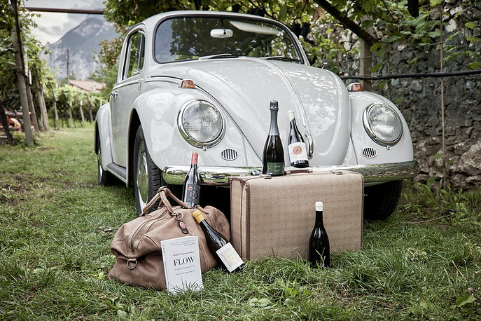 AMProject-Wines-and-car.jpg