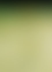 Kinh doanh rượu nấu thủ công phức tạp vô cùng