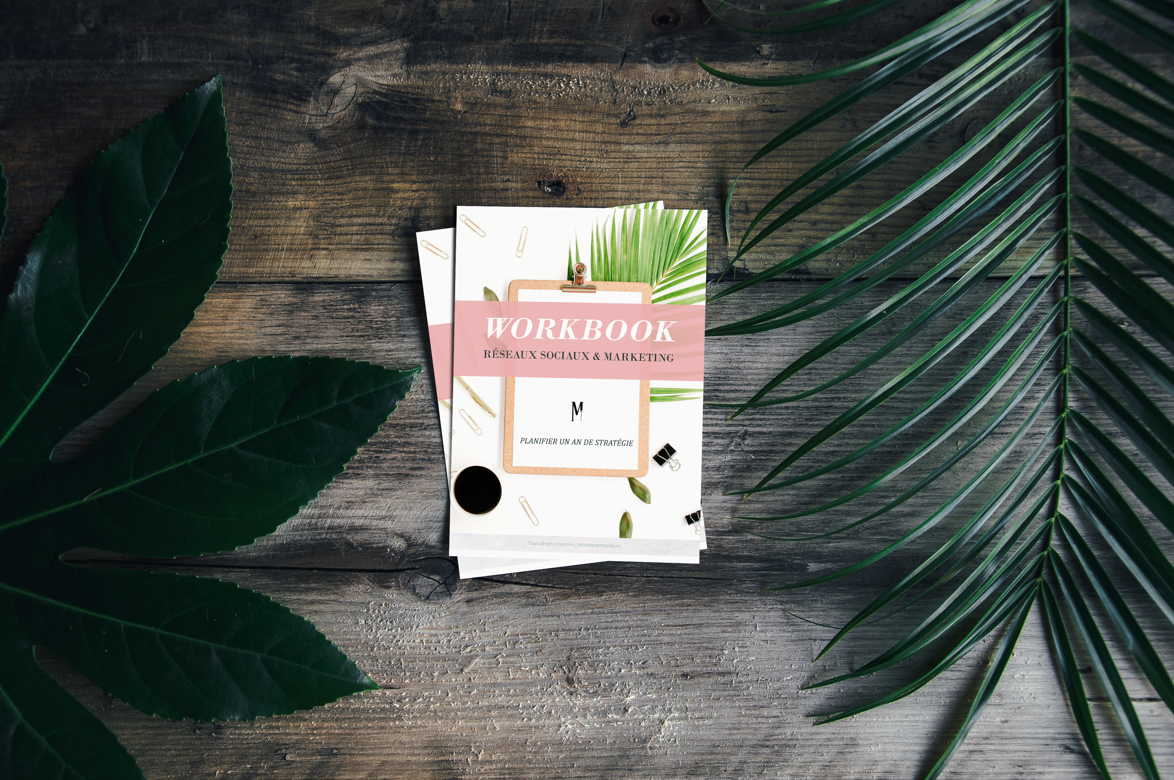 Workbook Momtrepreneur