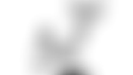 La procédure disciplinaire. Outil de répression du règlement intérieur