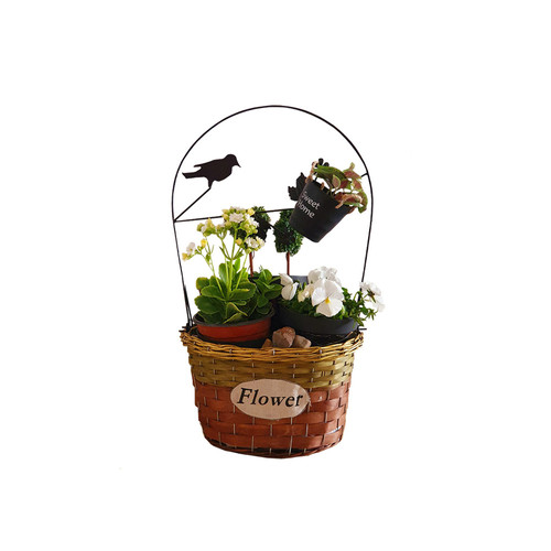 Garden's Whispers فيونكة