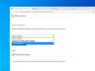 Download Windows 10 21H1 Build 19043 official ISO images
