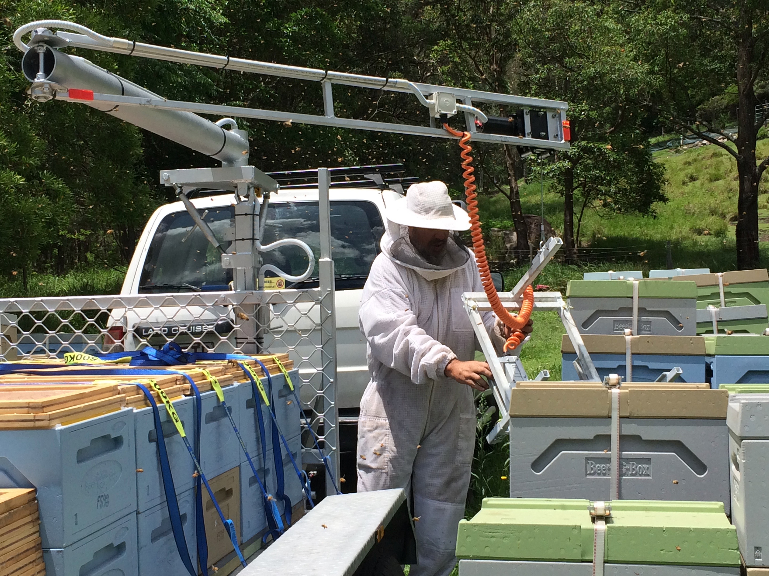 Hive Lifter
