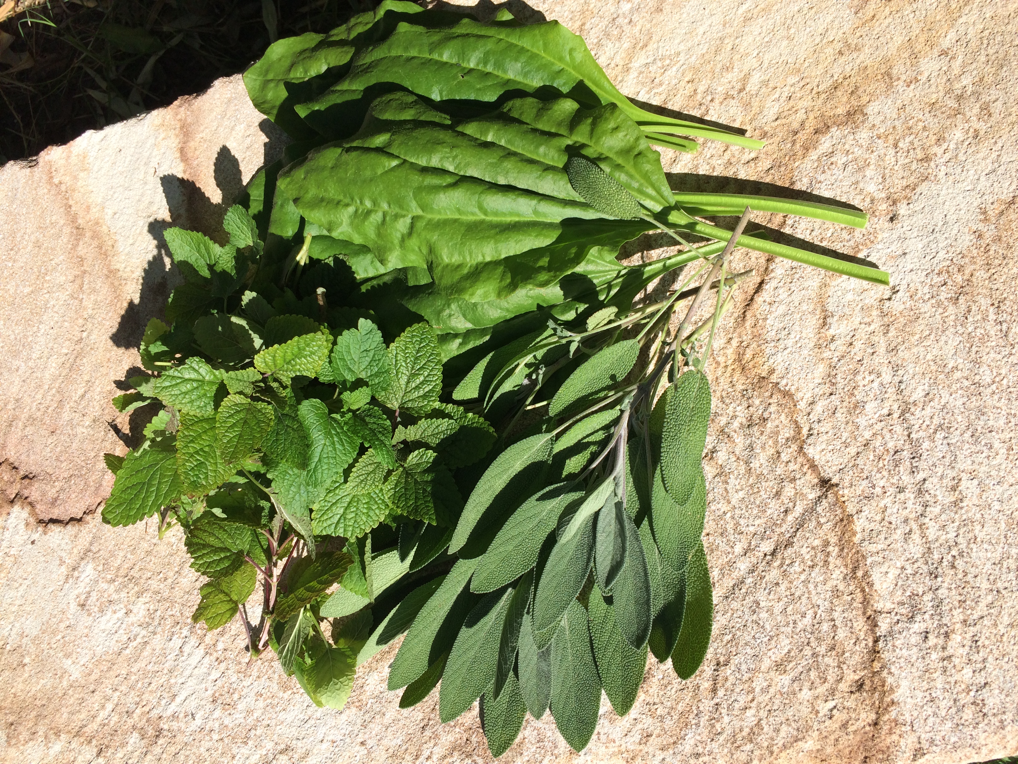 Healing Herbs.