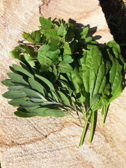 Healing Herbs.