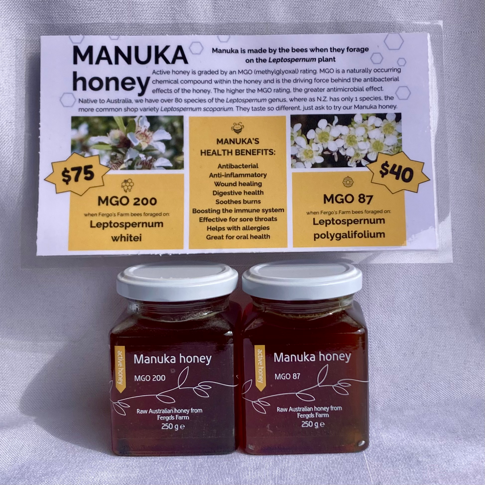 Manuka - Active Raw Honey
