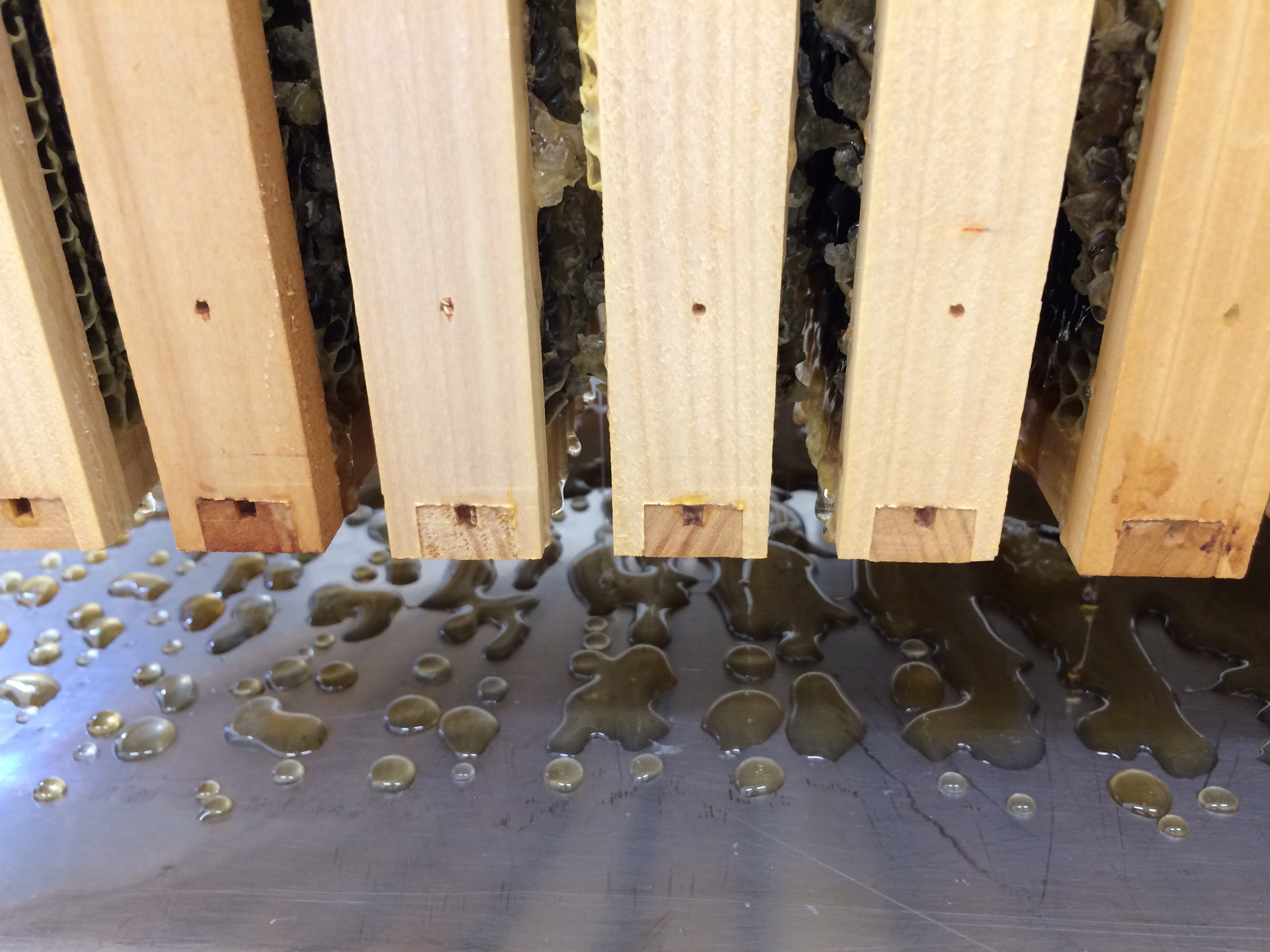 Extracting Raw Honey